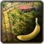 Banana Plantation icon