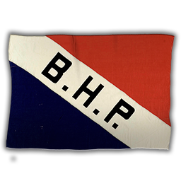 Company Icon