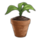 Fertilizer Fertilizer