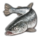 Fish Fish