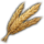 Grain Grain